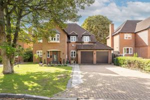 Photo 23- click for photo gallery